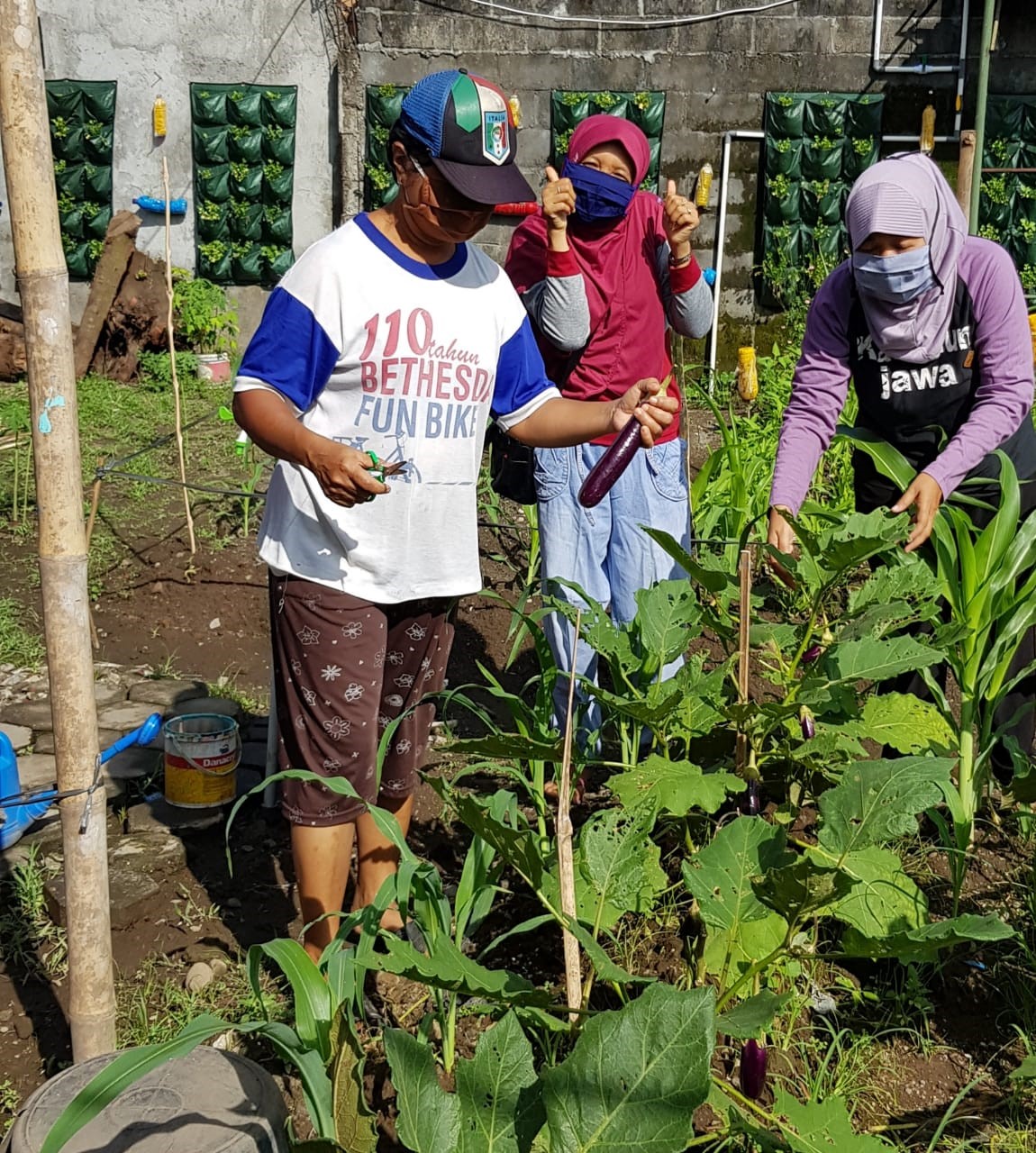 MENINGKATKAN IMUN DENGAN BERCOCOK TANAM