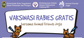 Vaksinasi Rabies bersama Animal Friends Jogja