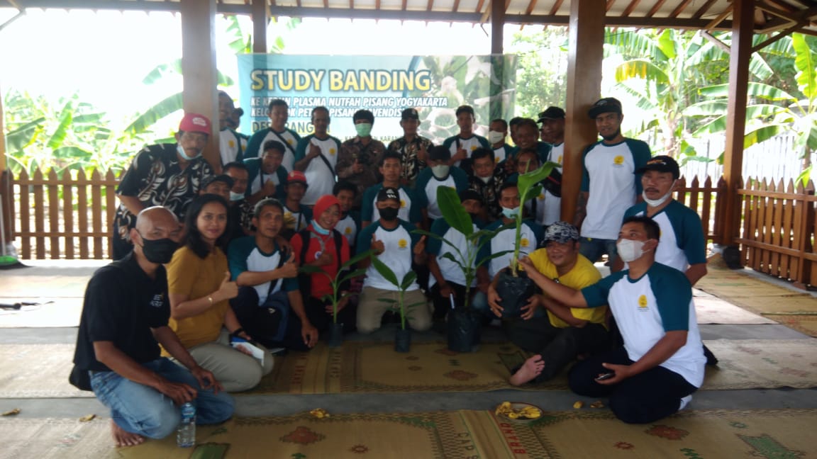 Jauh-jauh dari Desa Bangsri Karanganyar, Warga Belajar Pisang ke Kebun Plasma Nutfah Pisang Kota Yogyakarta