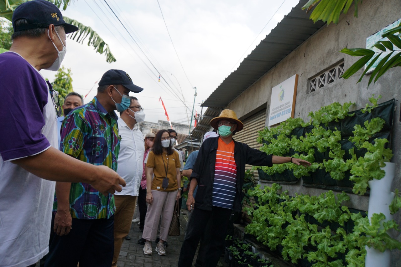 Panen Raya Sayur, Langkah Dinas Pertanian dan Pangan Kota Yogyakarta sebagai Pengendali Laju Inflasi