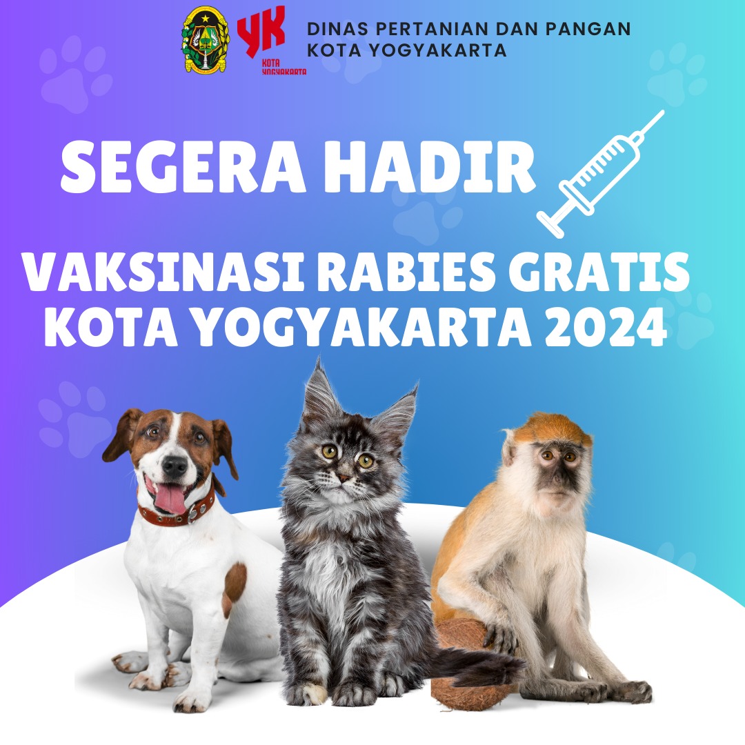 Coming Soon: Vaksinasi Rabies Gratis 2024