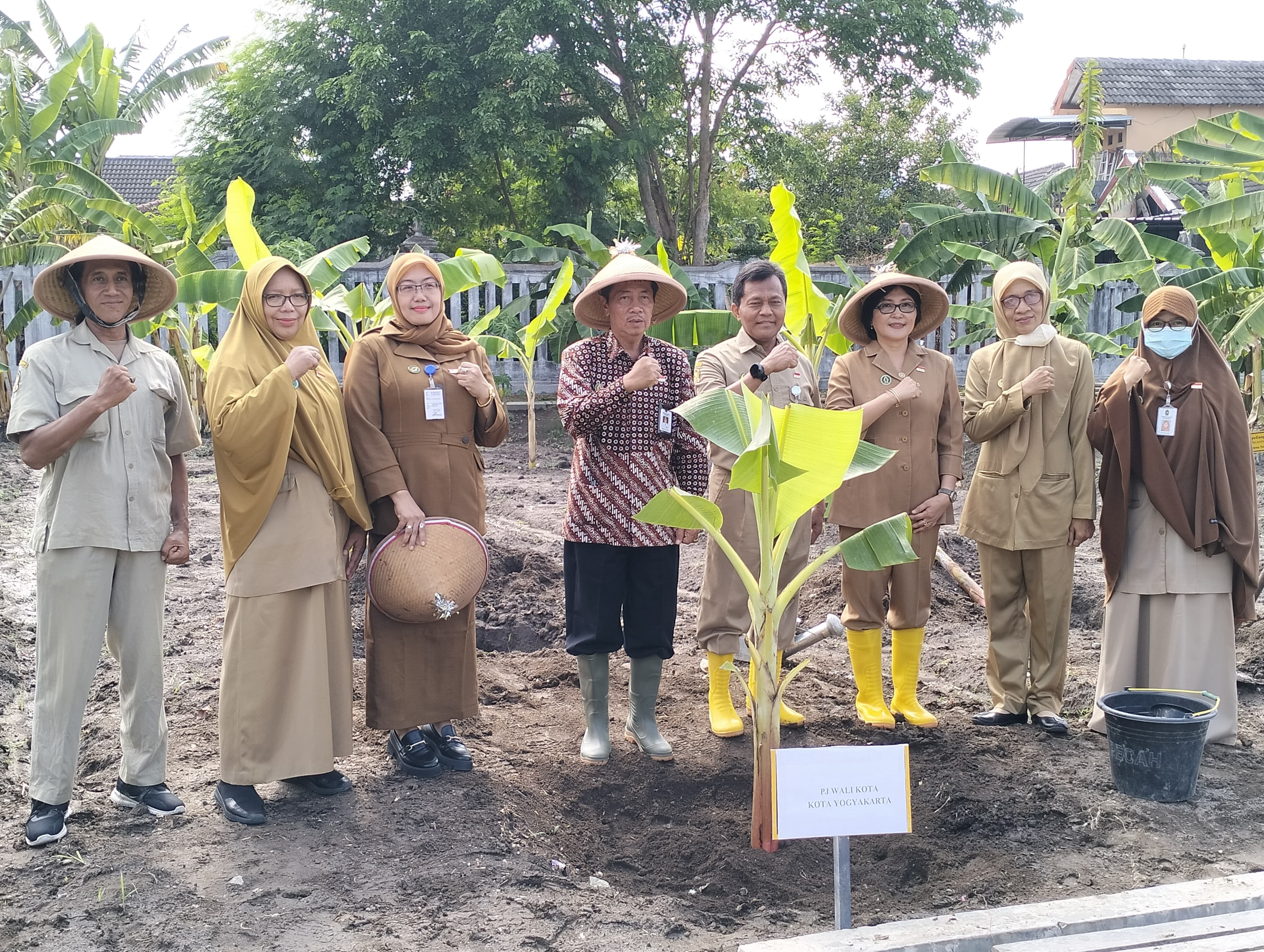 Pj. Wali Kota Yogyakarta Panen dan Tanam  Pisang Raja Bagus Setelah Pimpin Apel Pagi